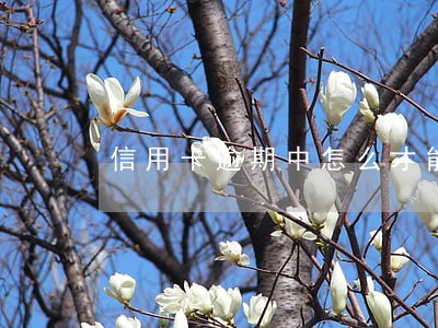 信用卡逾期中怎么才能贷到款 信用卡逾期中怎么才能贷到款
