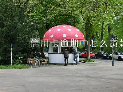 信用卡逾期中怎么贷款 信用卡逾期中怎么贷款