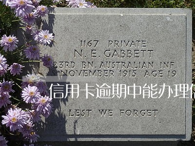 信用卡逾期中能办理信用卡吗