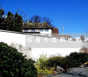 信用卡逾期中能网贷吗 信用卡逾期中能网贷吗