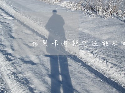 信用卡逾期中还能从哪里借钱 信用卡逾期中还能从哪里借钱