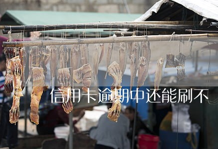 信用卡逾期中还能刷不 信用卡逾期中还能刷不