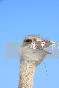 信用卡逾期中还能贷款吗 信用卡逾期中还能贷款吗