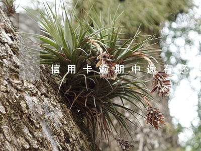 信用卡逾期中途有还钱能解冻吗