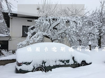 信用卡逾期临时没有还款能力