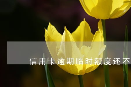 信用卡逾期临时额度还不上