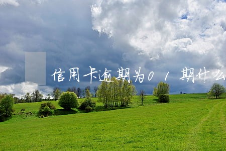 信用卡逾期为01期什么意思 信用卡逾期为01期什么意思