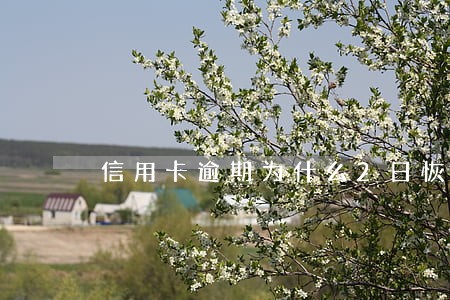 信用卡逾期为什么2日恢复 信用卡逾期为什么2日恢复