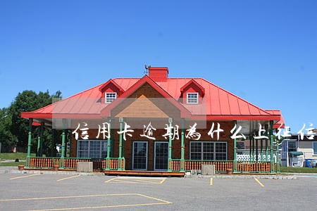信用卡逾期为什么上征信 信用卡逾期为什么上征信