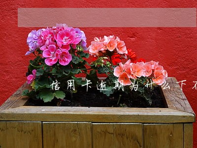 信用卡逾期为什么下不了网贷