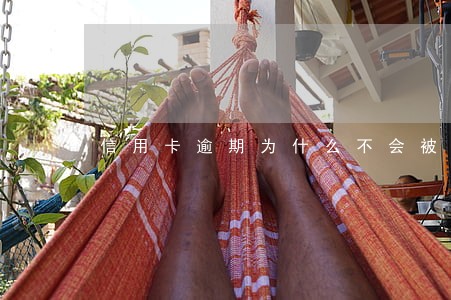 信用卡逾期为什么不会被告 信用卡逾期为什么不会被告