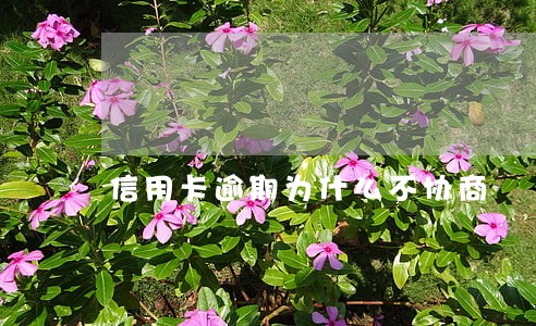 信用卡逾期为什么不协商 信用卡逾期为什么不协商