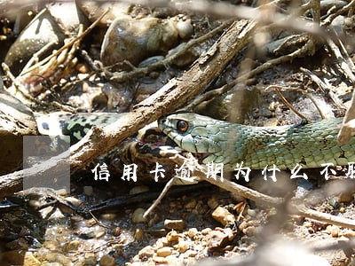 信用卡逾期为什么不联系你还款