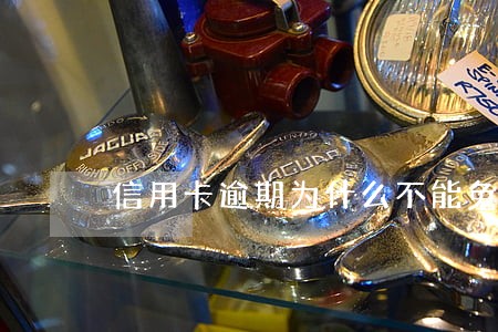 信用卡逾期为什么不能免息