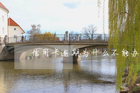 信用卡逾期为什么不能办储蓄卡 信用卡逾期为什么不能办储蓄卡
