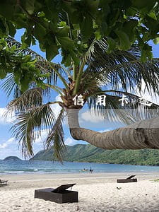 信用卡逾期为什么不能办分期 信用卡逾期为什么不能办分期