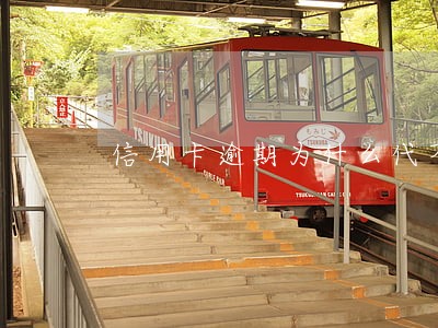 信用卡逾期为什么代不出来款 信用卡逾期为什么代不出来款