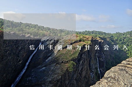信用卡逾期为什么会列入被执行人 信用卡逾期为什么会列入被执行人