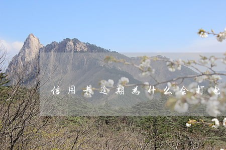 信用卡逾期为什么会打电话给朋友 信用卡逾期为什么会打电话给朋友