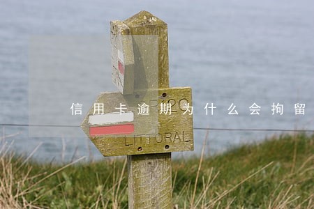 信用卡逾期为什么会拘留 信用卡逾期为什么会拘留