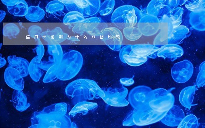 信用卡逾期为什么双倍还款 信用卡逾期为什么双倍还款