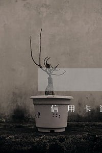 信用卡逾期为什么征信查不到