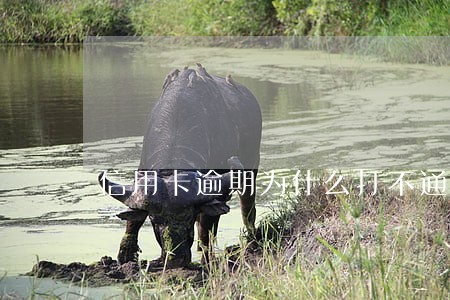 信用卡逾期为什么打不通