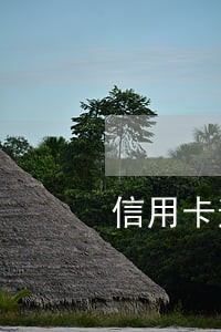 信用卡逾期为什么是总行打电话 信用卡逾期为什么是总行打电话