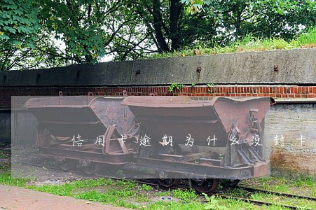 信用卡逾期为什么没封卡 信用卡逾期为什么没封卡