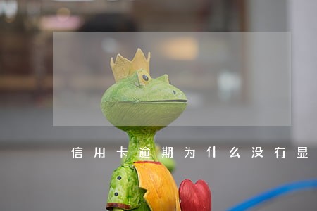 信用卡逾期为什么没有显示呆账