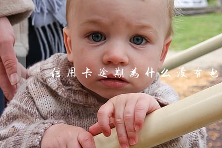 信用卡逾期为什么没有电话催