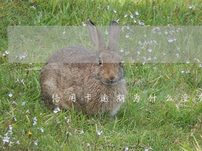 信用卡逾期为什么没有电话通知 信用卡逾期为什么没有电话通知