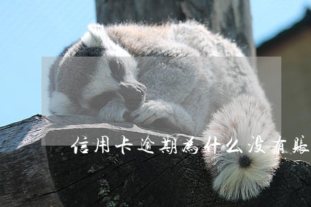信用卡逾期为什么没有账单了 信用卡逾期为什么没有账单了