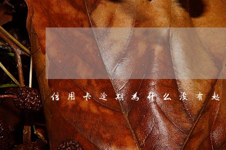 信用卡逾期为什么没有起诉