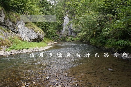 信用卡逾期为什么派出所拘留 信用卡逾期为什么派出所拘留