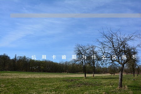 信用卡逾期为什么突然不催 信用卡逾期为什么突然不催