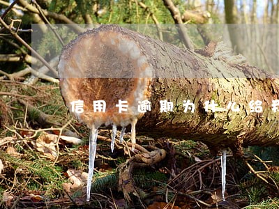 信用卡逾期为什么给我爸打电话 信用卡逾期为什么给我爸打电话