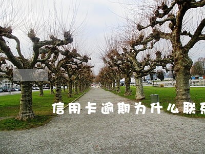 信用卡逾期为什么联系家人 信用卡逾期为什么联系家人