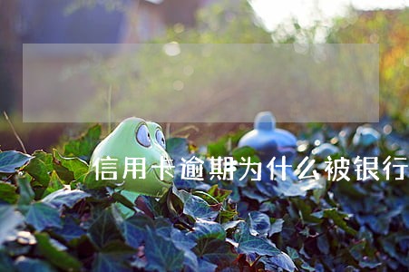 信用卡逾期为什么被银行起诉 信用卡逾期为什么被银行起诉