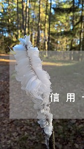 信用卡逾期为什么要立案 信用卡逾期为什么要立案