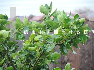 信用卡逾期为什么还可以坐高铁 信用卡逾期为什么还可以坐高铁