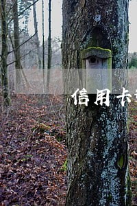 信用卡逾期为什么还款还不进去