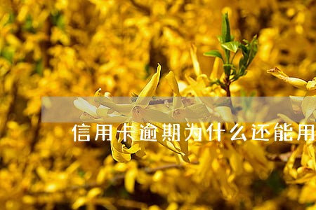 信用卡逾期为什么还能用 信用卡逾期为什么还能用