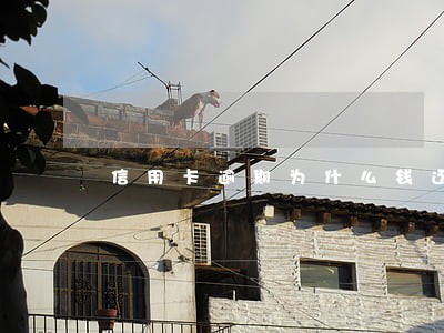 信用卡逾期为什么钱还不进去 信用卡逾期为什么钱还不进去
