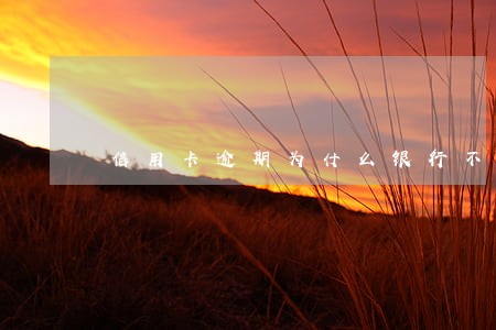 信用卡逾期为什么银行不协商 信用卡逾期为什么银行不协商