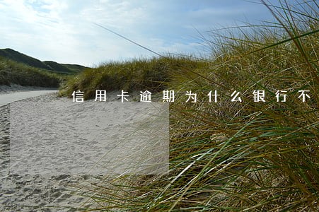 信用卡逾期为什么银行不同意协商