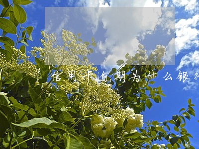 信用卡逾期为什么银行卡被冻结 信用卡逾期为什么银行卡被冻结