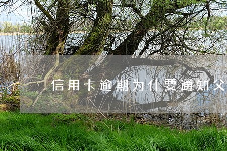 信用卡逾期为什要通知父母 信用卡逾期为什要通知父母