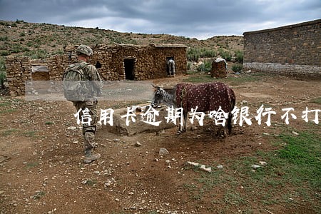 信用卡逾期为啥银行不打电话