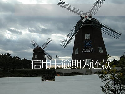 信用卡逾期为还款 信用卡逾期为还款